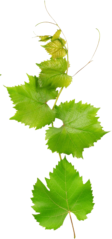 Agricola%20Sole%20&%20Luna