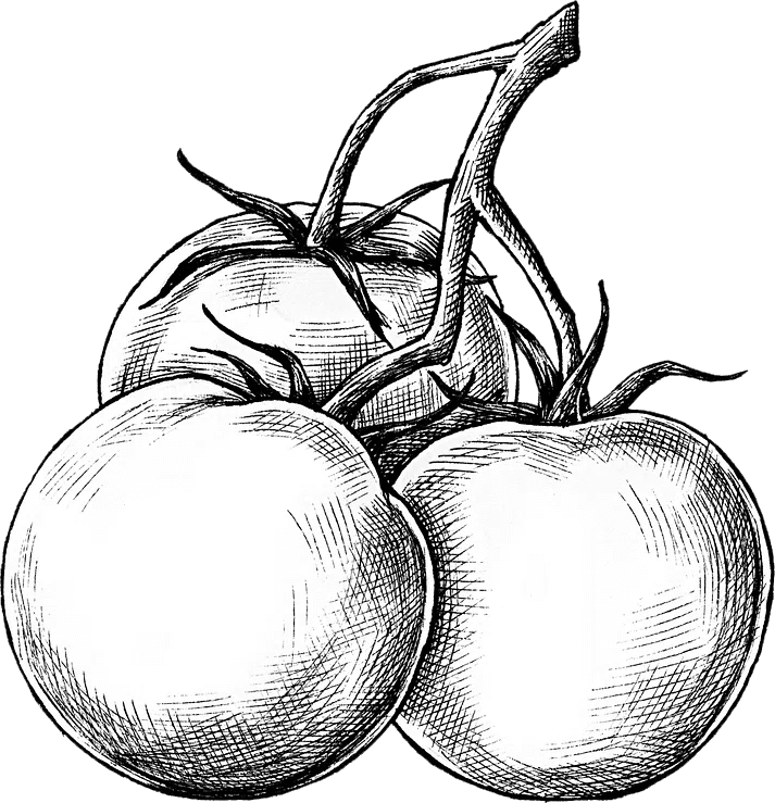 Agricola%20Sole%20&%20Luna