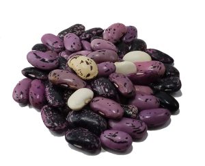 Fagioli ciota serpiata