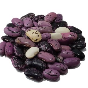 Fagioli ciota serpiata